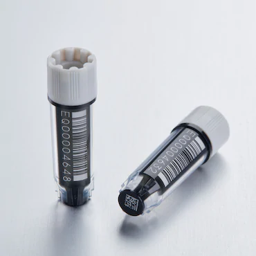艾本德Eppendorf CryoStorage Vial，無(wú)菌, 無(wú)菌, 0.5 mL, 不含 DNase、RNase、人類 DNA 和內(nèi)毒素；外螺紋，預(yù)先加蓋灰色管蓋，帶 2D SafeCode 